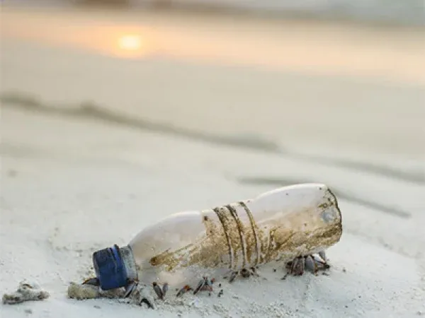 The sea and the plastic threat